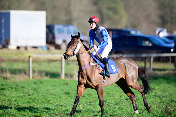 Race 2 - The Open Maiden (21 of 96)