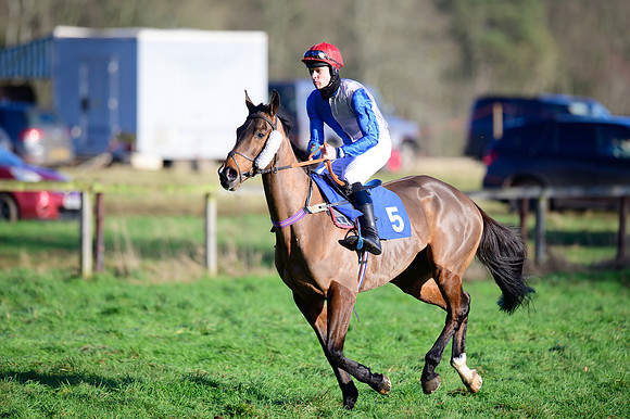 Race 2 - The Open Maiden (22 of 96)