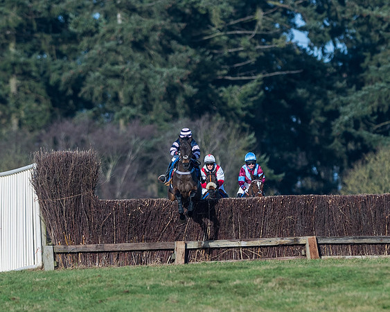 Race 3 - The Ladies Open (9 of 57)
