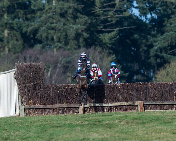Race 3 - The Ladies Open (10 of 57)