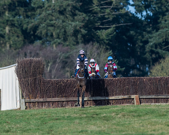 Race 3 - The Ladies Open (11 of 57)