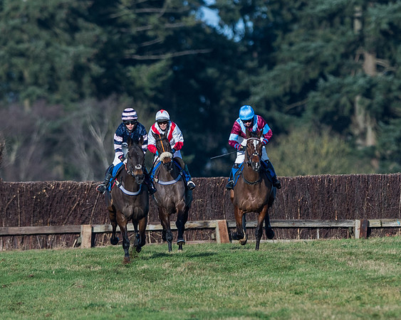 Race 3 - The Ladies Open (12 of 57)