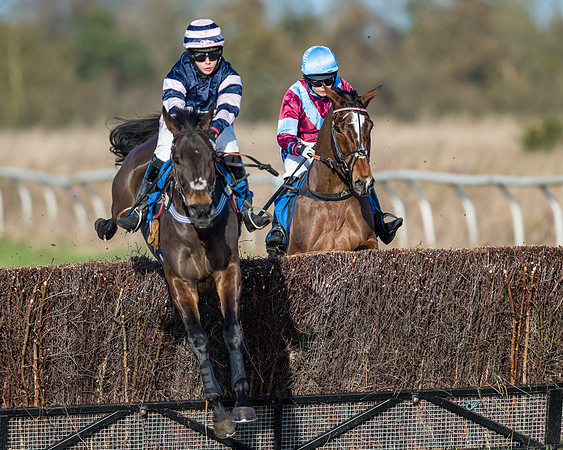 Race 3 - The Ladies Open (15 of 57)