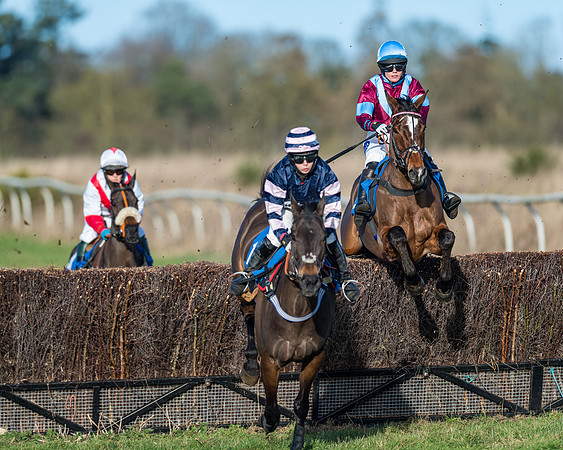 Race 3 - The Ladies Open (18 of 57)