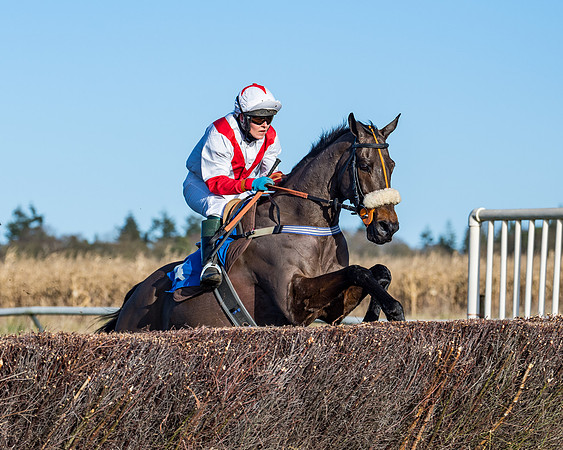 Race 3 - The Ladies Open (35 of 57)