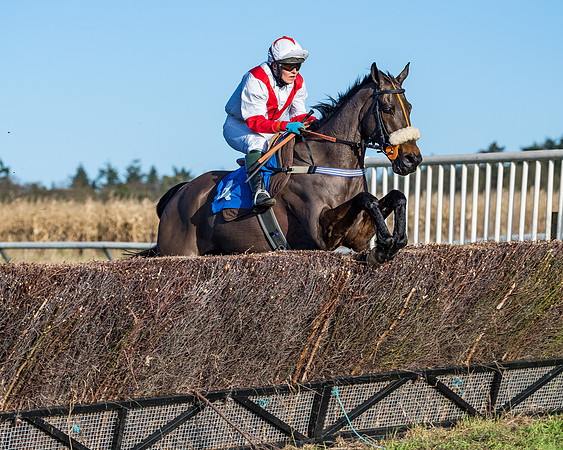 Race 3 - The Ladies Open (36 of 57)