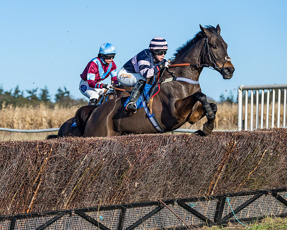 Race 3 - The Ladies Open (39 of 57)