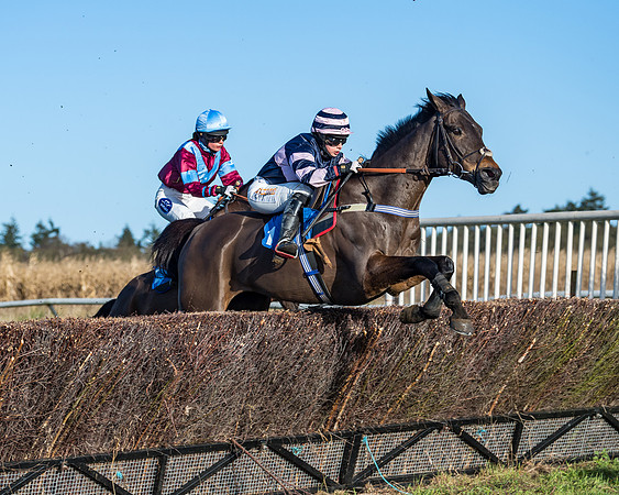 Race 3 - The Ladies Open (40 of 57)