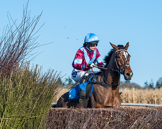 Race 3 - The Ladies Open (47 of 57)