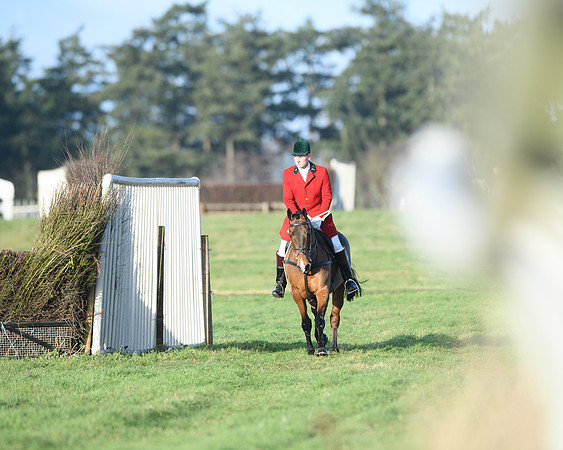Race 5 - The Restricted Race (2 of 69)
