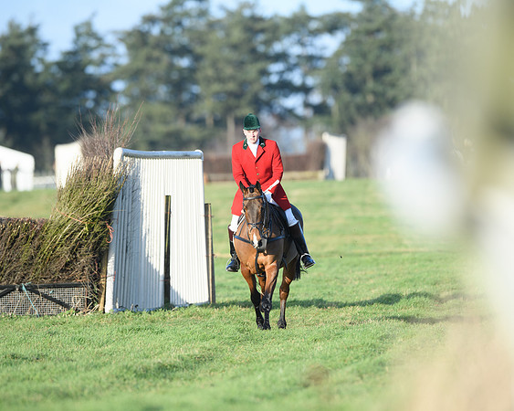 Race 5 - The Restricted Race (3 of 69)