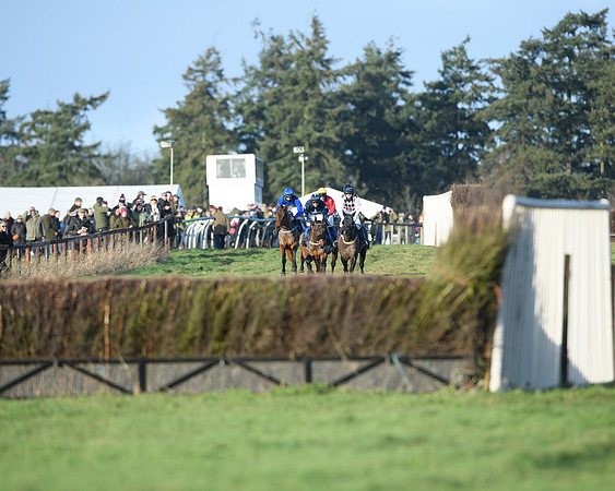 Race 5 - The Restricted Race (5 of 69)
