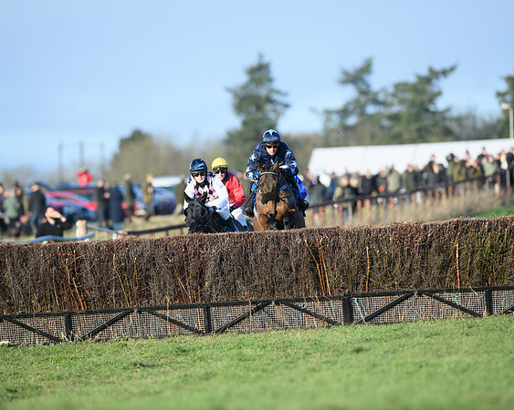 Race 5 - The Restricted Race (6 of 69)