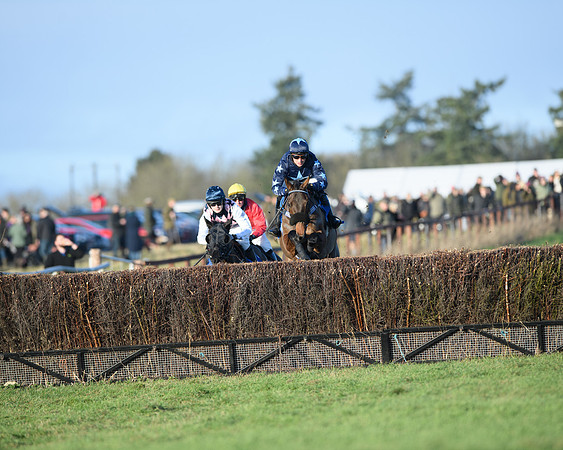 Race 5 - The Restricted Race (7 of 69)
