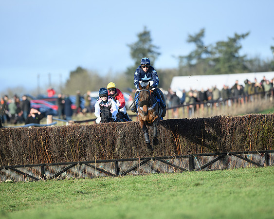 Race 5 - The Restricted Race (9 of 69)
