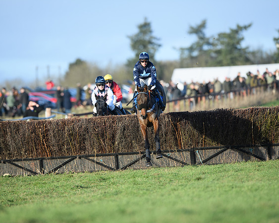 Race 5 - The Restricted Race (10 of 69)