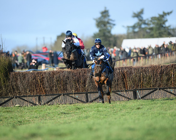 Race 5 - The Restricted Race (12 of 69)