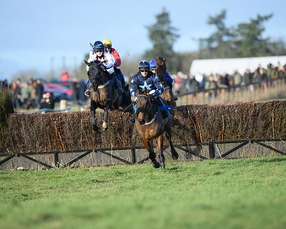 Race 5 - The Restricted Race (14 of 69)