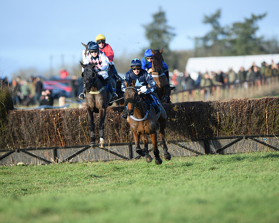 Race 5 - The Restricted Race (15 of 69)