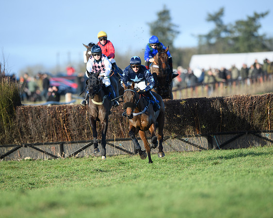Race 5 - The Restricted Race (16 of 69)