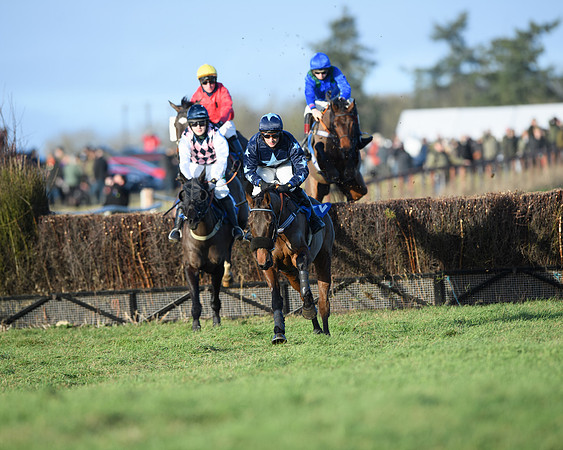 Race 5 - The Restricted Race (17 of 69)