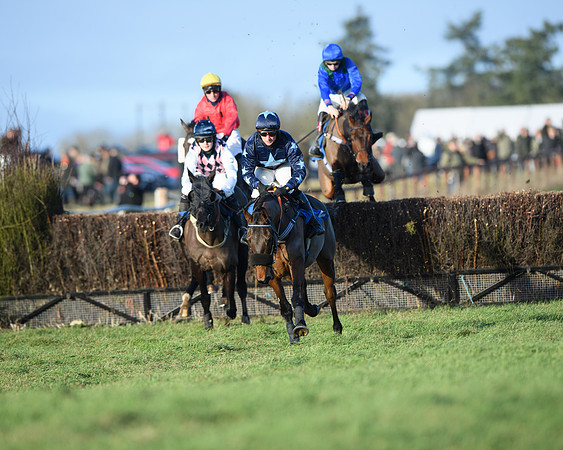 Race 5 - The Restricted Race (18 of 69)