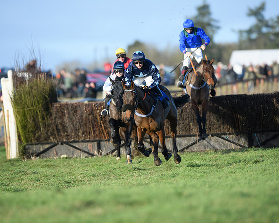 Race 5 - The Restricted Race (20 of 69)