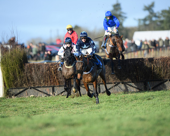 Race 5 - The Restricted Race (19 of 69)