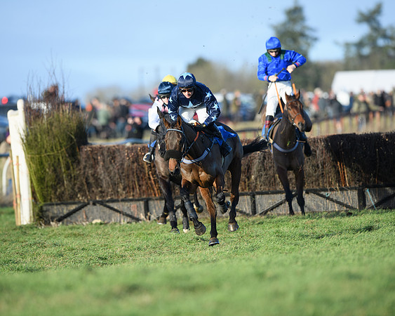 Race 5 - The Restricted Race (21 of 69)