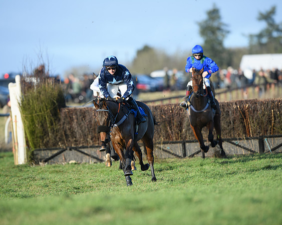 Race 5 - The Restricted Race (22 of 69)