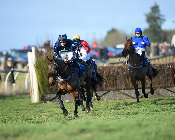 Race 5 - The Restricted Race (23 of 69)