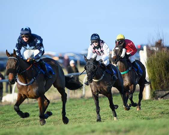 Race 5 - The Restricted Race (25 of 69)