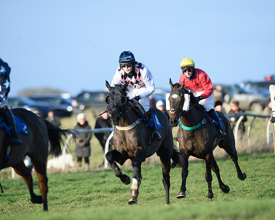 Race 5 - The Restricted Race (26 of 69)