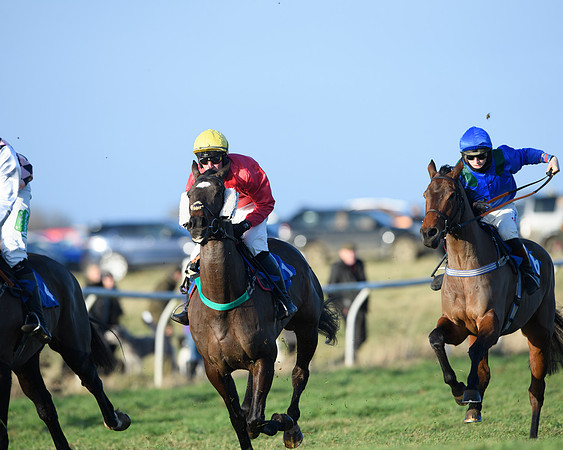 Race 5 - The Restricted Race (27 of 69)