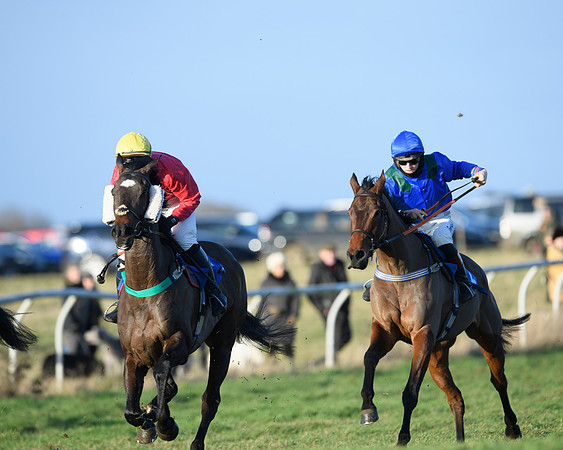 Race 5 - The Restricted Race (28 of 69)