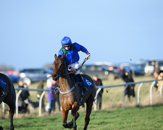 Race 5 - The Restricted Race (29 of 69)
