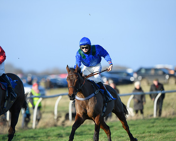 Race 5 - The Restricted Race (30 of 69)