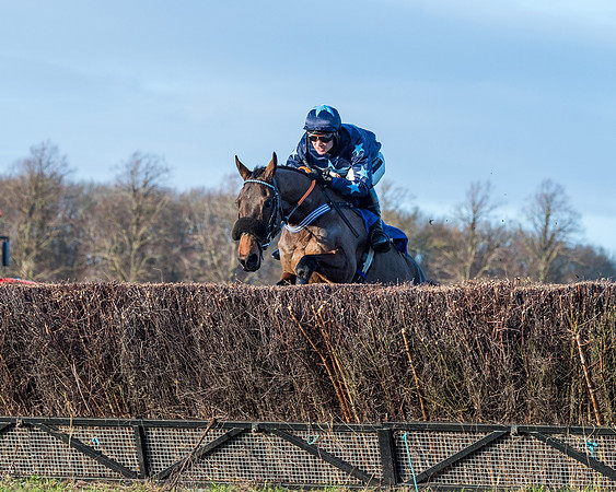 Race 5 - The Restricted Race (31 of 69)