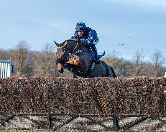 Race 5 - The Restricted Race (32 of 69)
