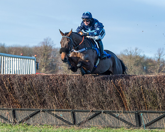 Race 5 - The Restricted Race (33 of 69)