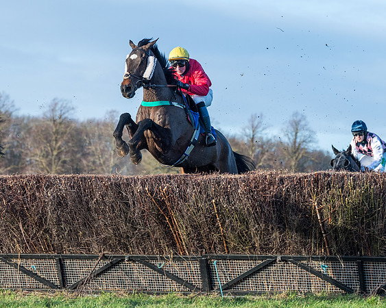 Race 5 - The Restricted Race (36 of 69)