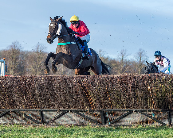 Race 5 - The Restricted Race (37 of 69)