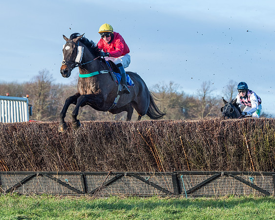 Race 5 - The Restricted Race (38 of 69)