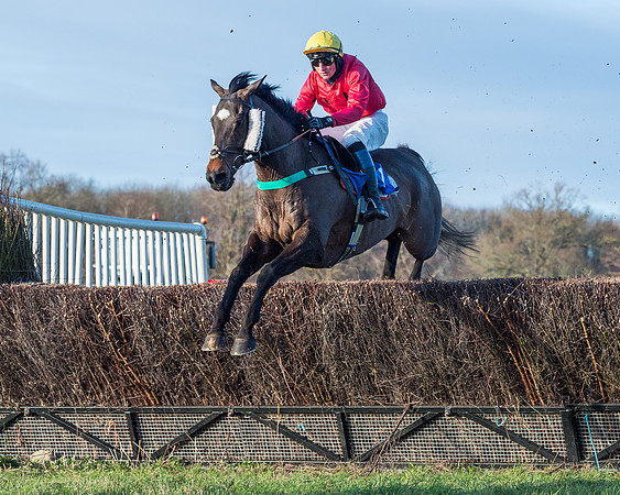Race 5 - The Restricted Race (39 of 69)