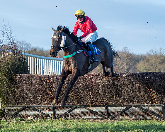 Race 5 - The Restricted Race (40 of 69)