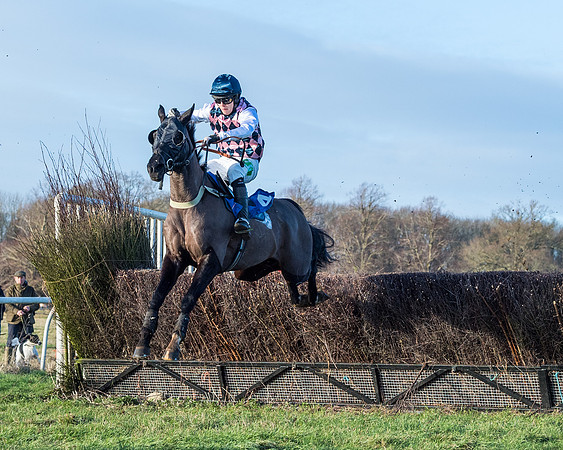 Race 5 - The Restricted Race (44 of 69)