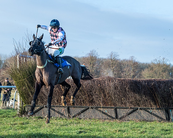 Race 5 - The Restricted Race (45 of 69)