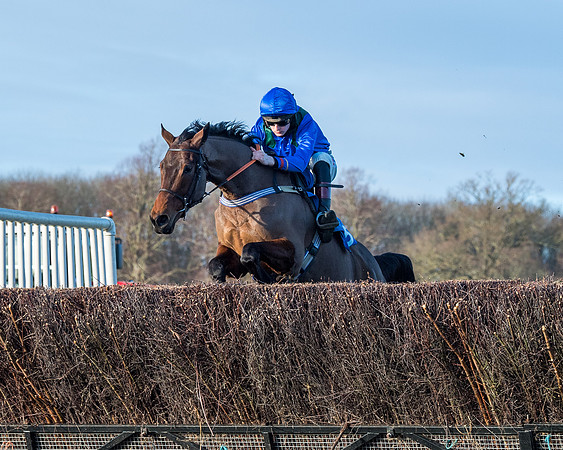 Race 5 - The Restricted Race (46 of 69)