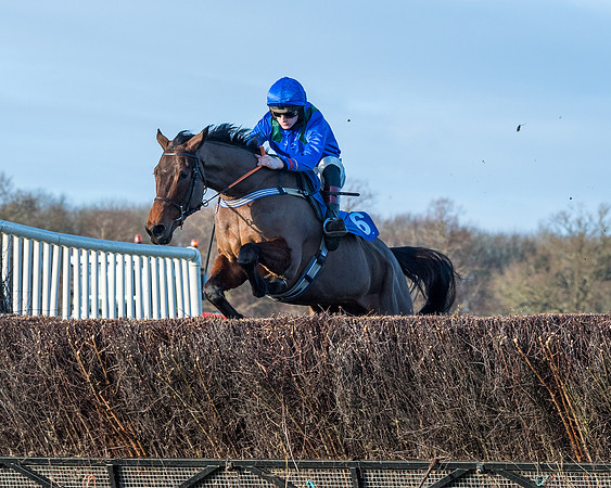 Race 5 - The Restricted Race (47 of 69)