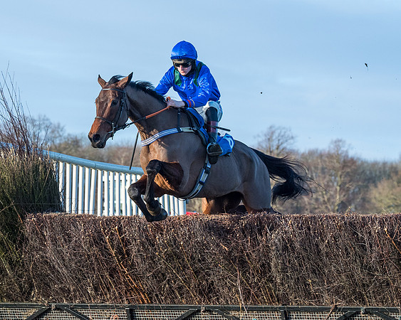 Race 5 - The Restricted Race (48 of 69)